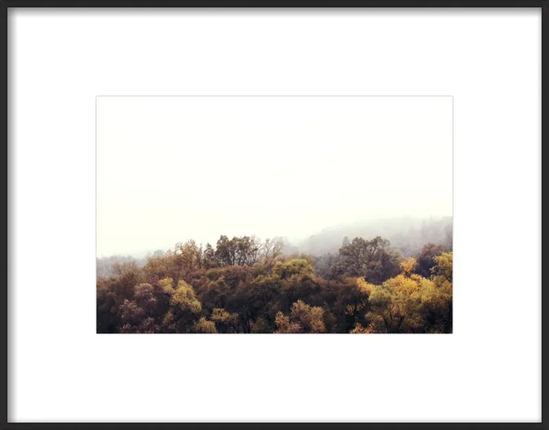 Autumn Afternoons by Hope Bainbridge  for Artfully Walls