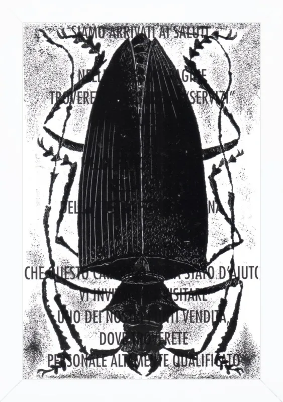 Black Beetle on Words by Tennopent Sooster for Artfully Walls