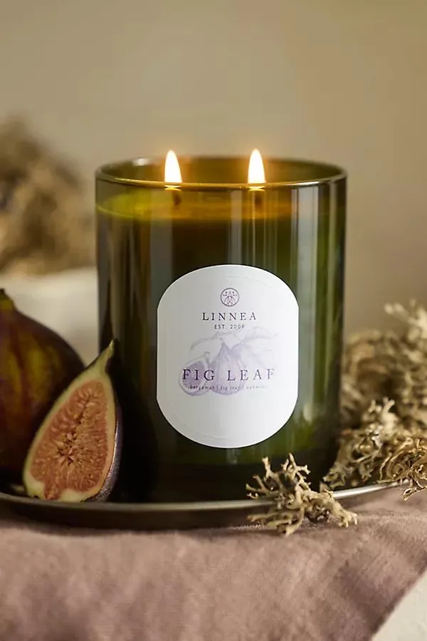 Candle, Fig Leaf