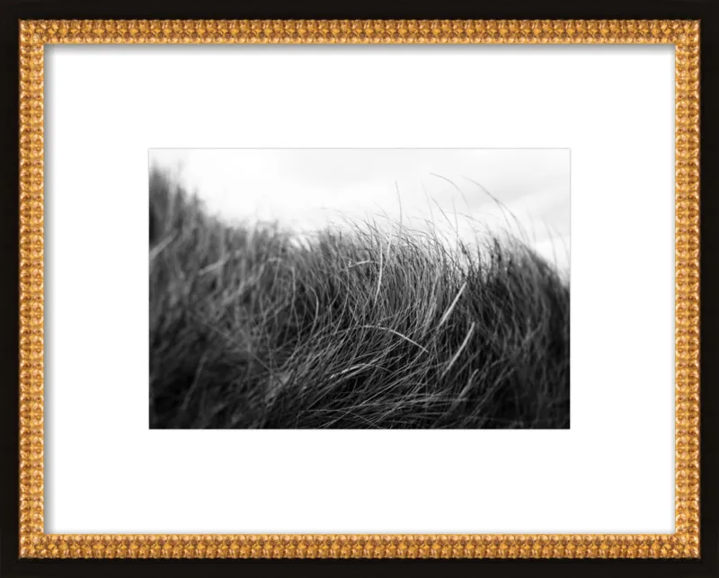 Beach Grass #3 by Alicia Bock for Artfully Walls