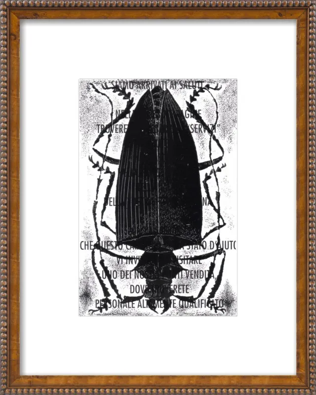 Black Beetle on Words by Tennopent Sooster for Artfully Walls
