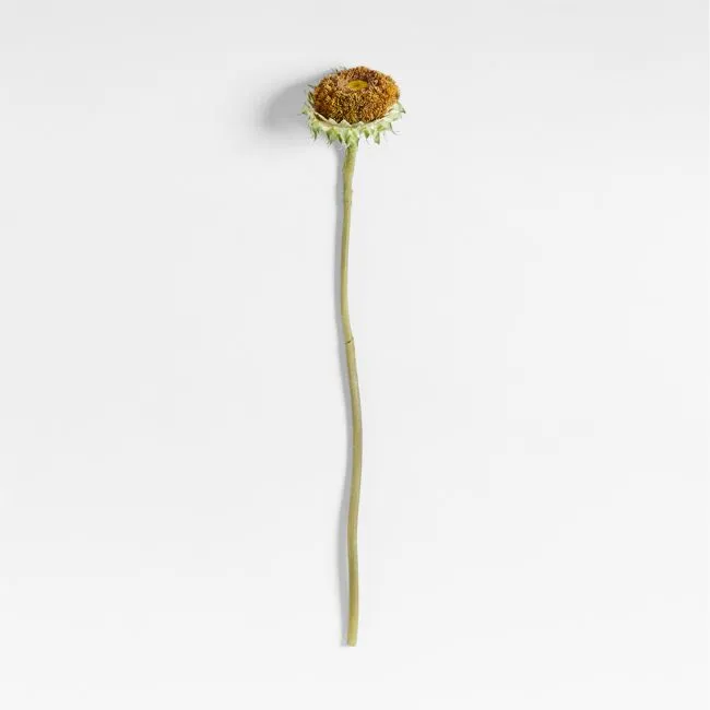 Faux Sunflower Stem 35" by Abigail Ahern