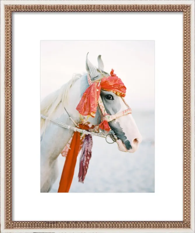 Marwari by Andrew Jacona for Artfully Walls