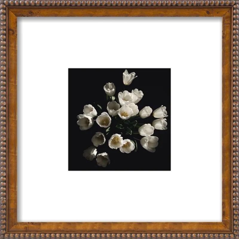 Floral 4 by Erik Melvin for Artfully Walls