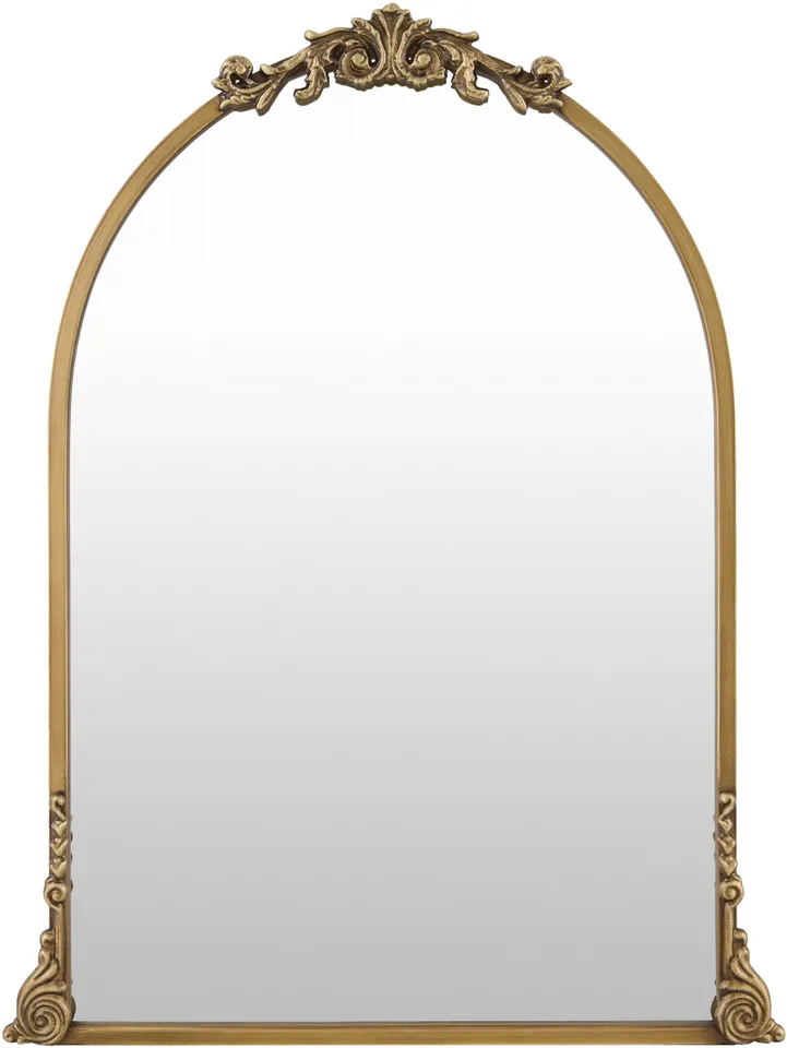 Aarlen Gold 30"H x 23"W x 2"D Accent Mirror