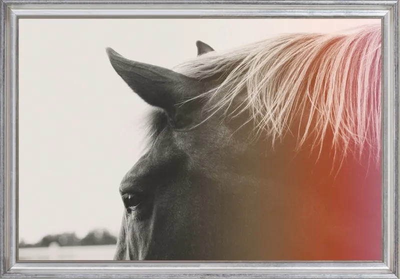 Pink Pony by Alicia Bock for Artfully Walls