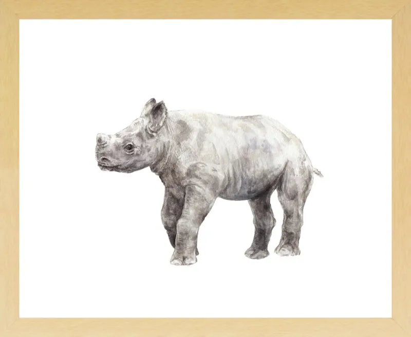 Baby Rhino Watercolor by Lauren Rogoff for Artfully Walls