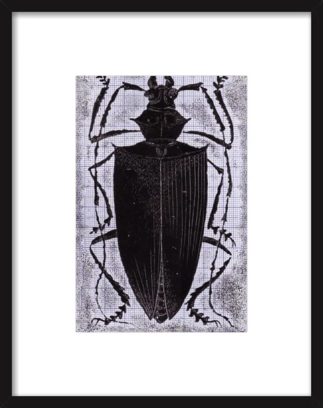Black Beetle on Grey by Tennopent Sooster for Artfully Walls