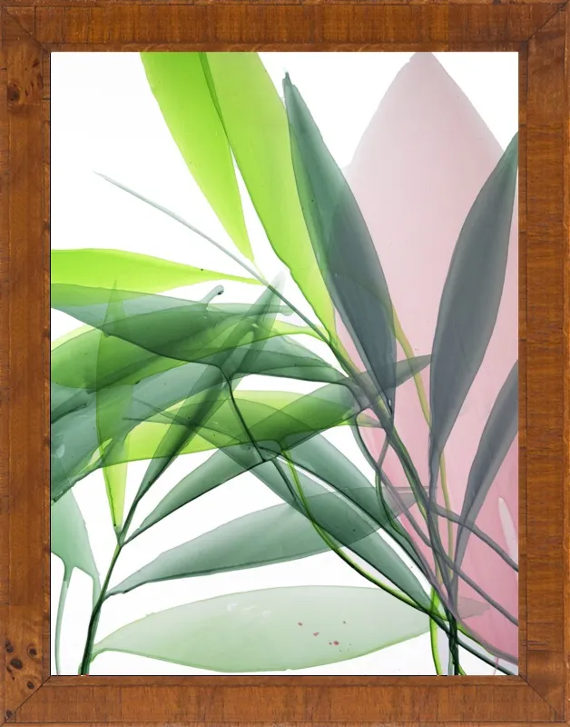 Tropical Study no. 15 by Marina Dunbar  for Artfully Walls