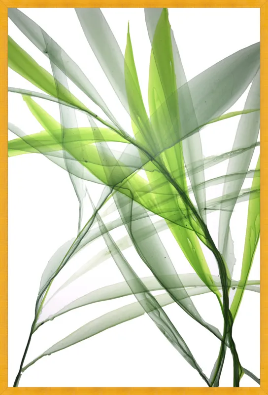 Tropical Study no. 3 by Marina Dunbar  for Artfully Walls