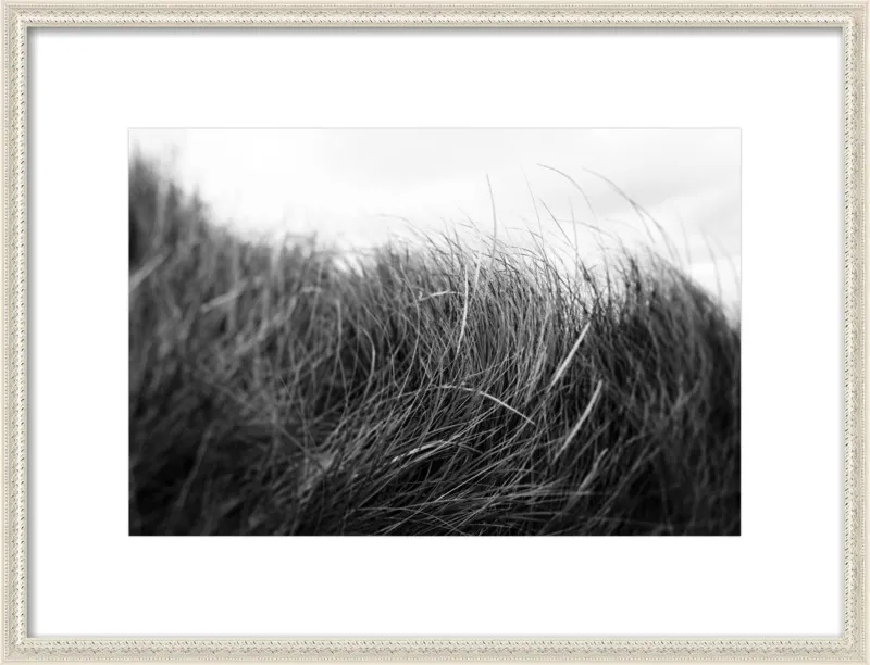 Beach Grass #3 by Alicia Bock for Artfully Walls