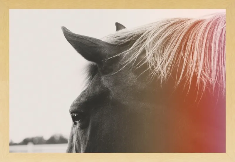 Pink Pony by Alicia Bock for Artfully Walls