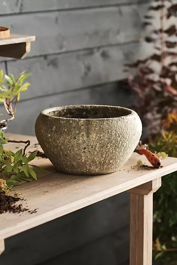Barnacle Button Bowl Planter