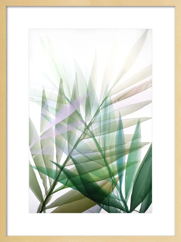 Tropical Study no. 8 by Marina Dunbar  for Artfully Walls