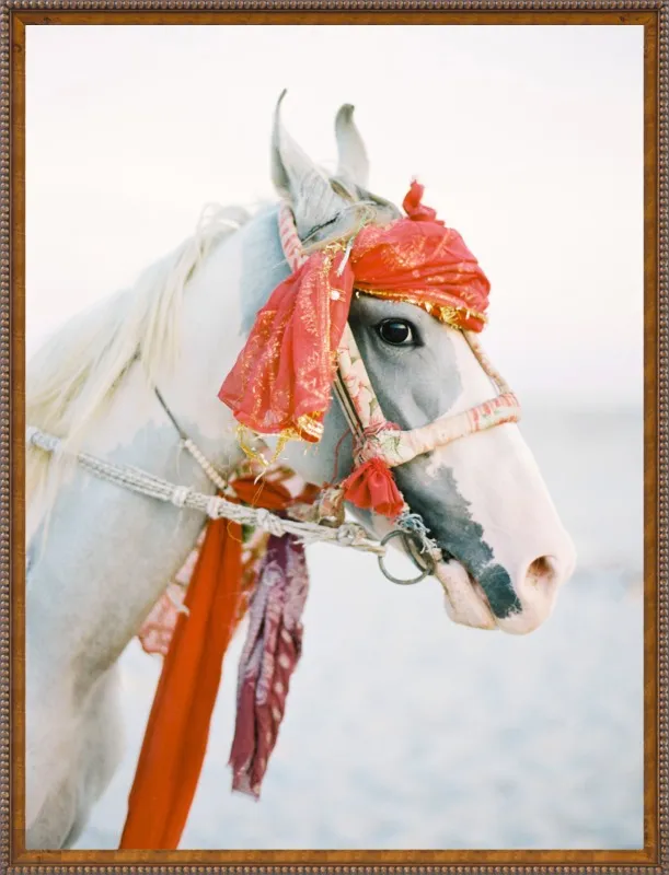 Marwari by Andrew Jacona for Artfully Walls