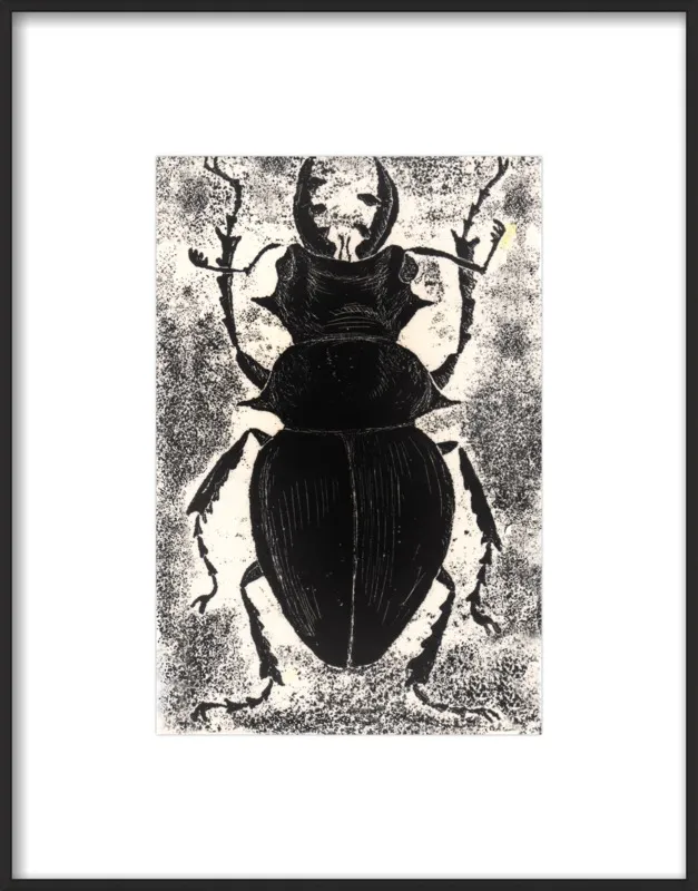 Black Beetle on White by Tennopent Sooster for Artfully Walls