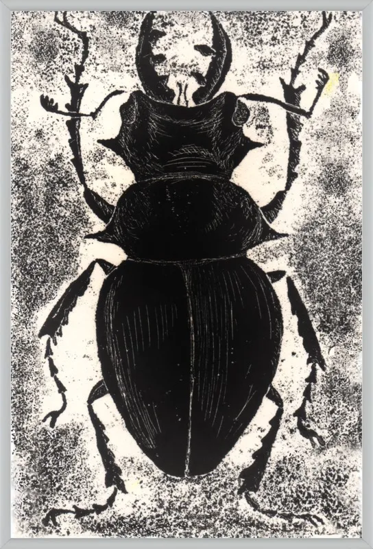 Black Beetle on White by Tennopent Sooster for Artfully Walls