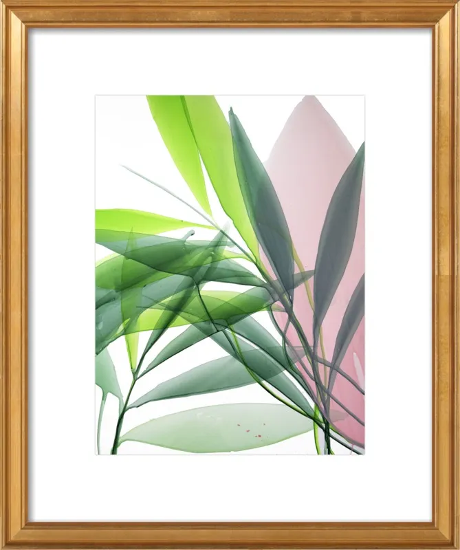 Tropical Study no. 15 by Marina Dunbar  for Artfully Walls