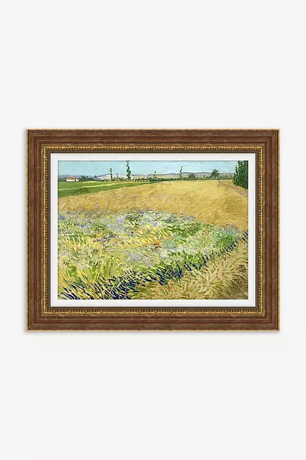 Summer Passage Wall Art