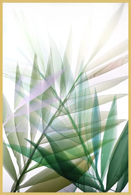 Tropical Study no. 8 by Marina Dunbar  for Artfully Walls