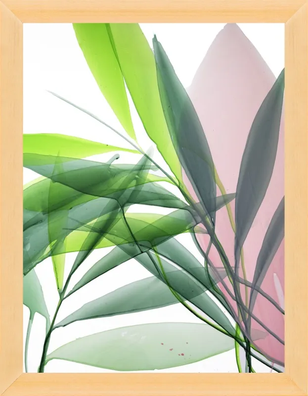Tropical Study no. 15 by Marina Dunbar  for Artfully Walls