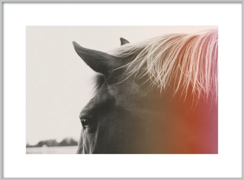 Pink Pony by Alicia Bock for Artfully Walls