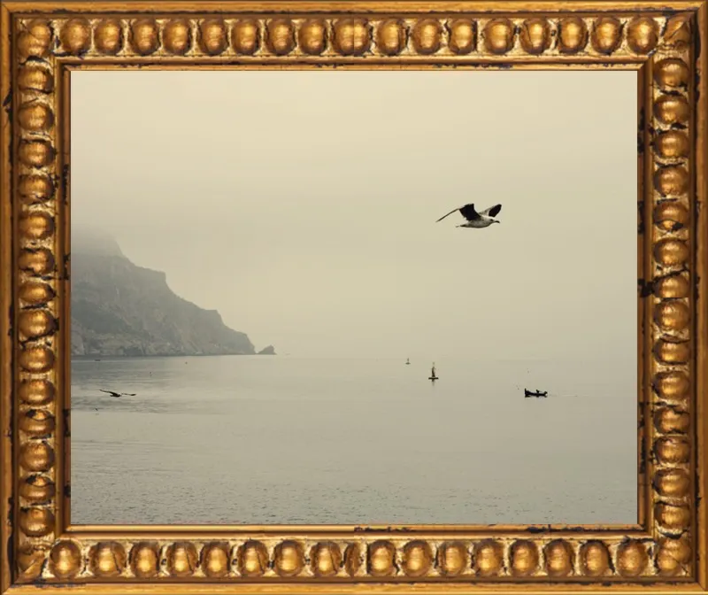one day I will fly away by Ingrid Beddoes for Artfully Walls