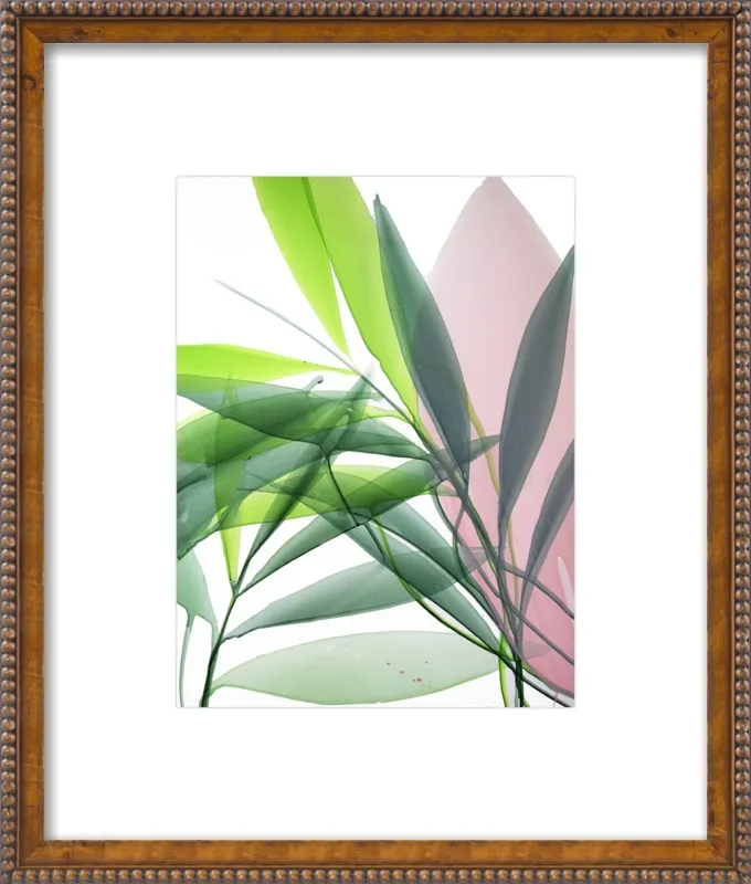 Tropical Study no. 15 by Marina Dunbar  for Artfully Walls