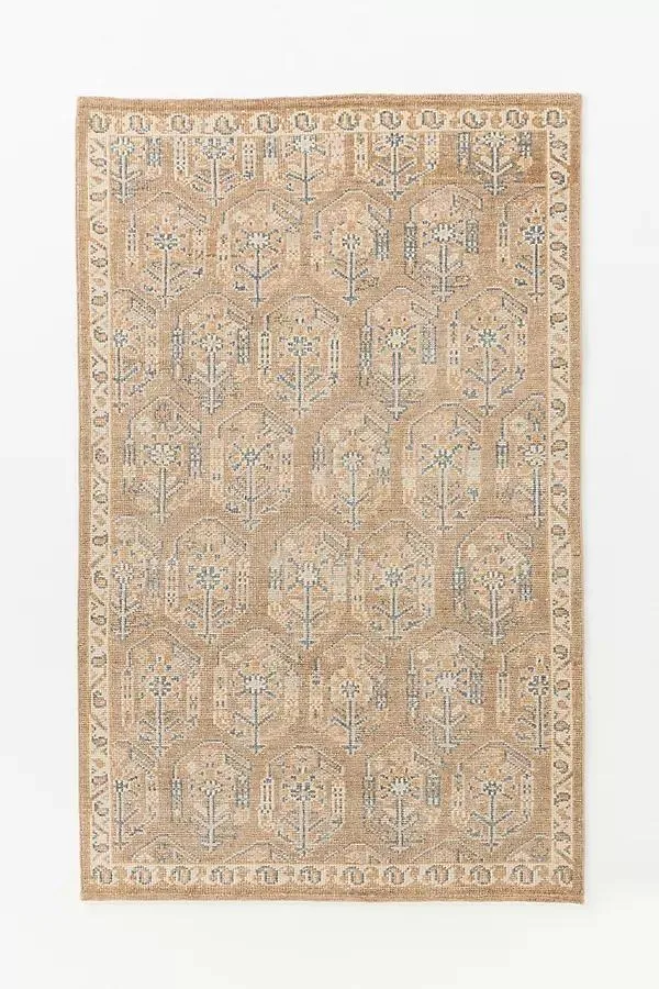 Cara Paisley Hand-Knotted Wool Persian-Inspired Rug