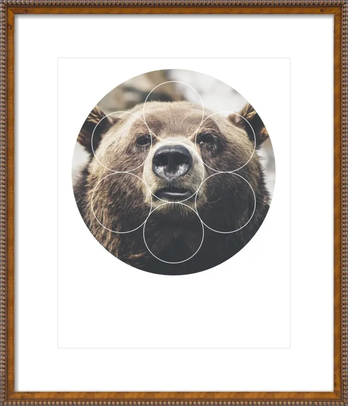 Big Bear Buddy - Geometric Photography by Emiliano Deificus for Artfully Walls