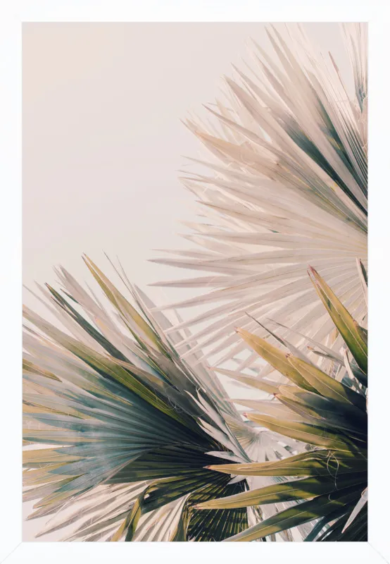 Capacity by Alicia Bock for Artfully Walls