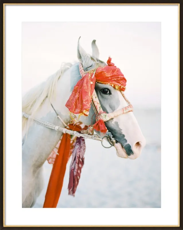 Marwari by Andrew Jacona for Artfully Walls
