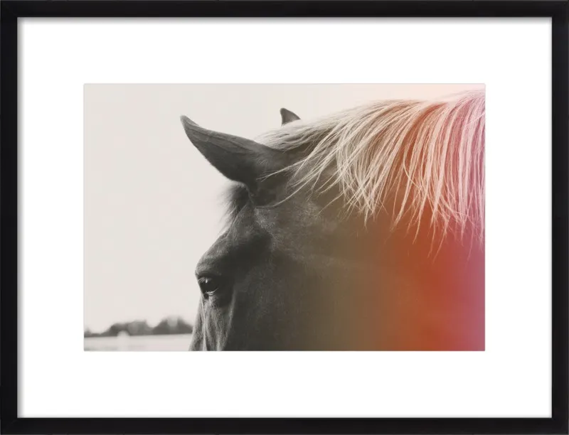 Pink Pony by Alicia Bock for Artfully Walls