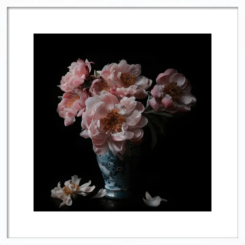 Pink Peonies  by Lucy Snowe for Artfully Walls