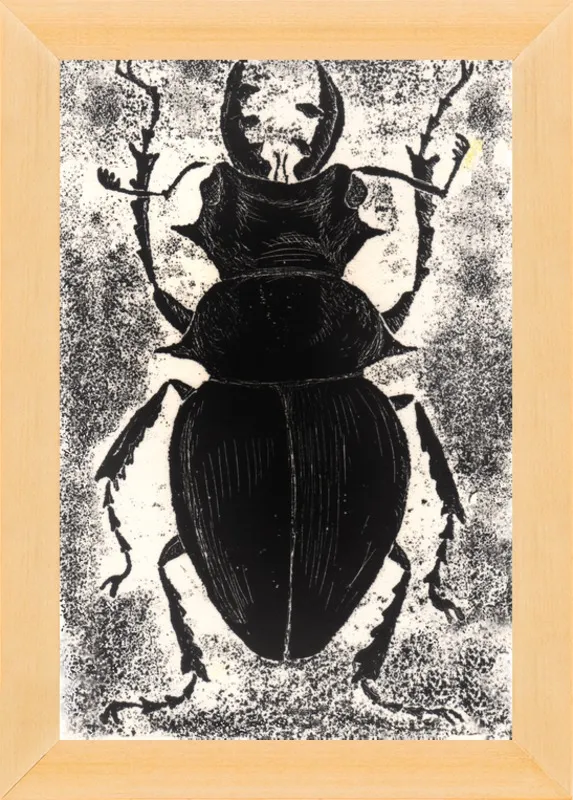 Black Beetle on White by Tennopent Sooster for Artfully Walls