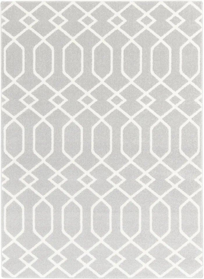 Horizon Gray Indoor 2' x 3' Machine Woven Rug