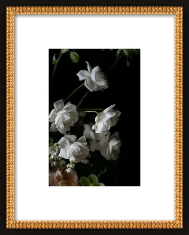 Floral Study by Emilia Jane Schobeiri for Artfully Walls