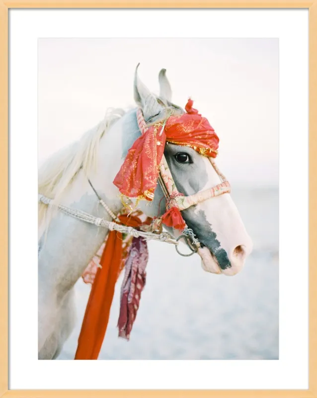 Marwari by Andrew Jacona for Artfully Walls