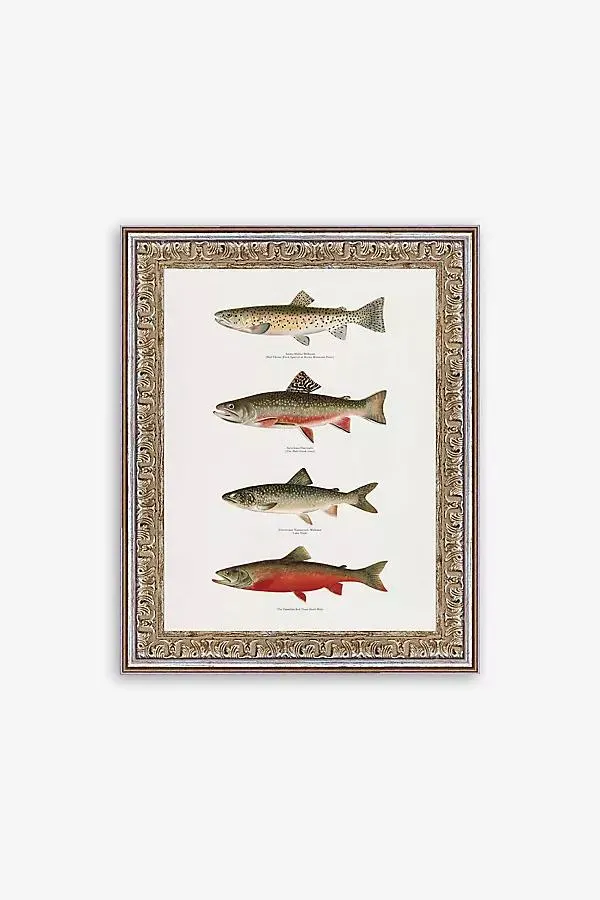 Printed Trouts Wall Art
