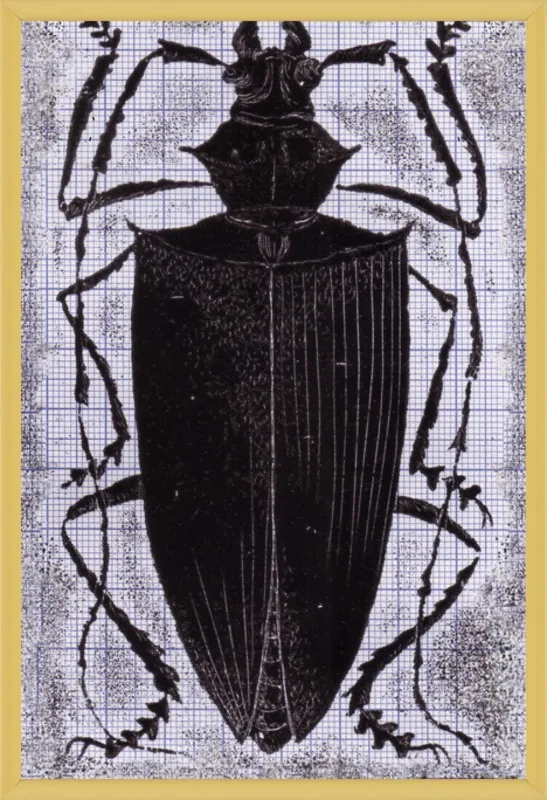 Black Beetle on Grey by Tennopent Sooster for Artfully Walls