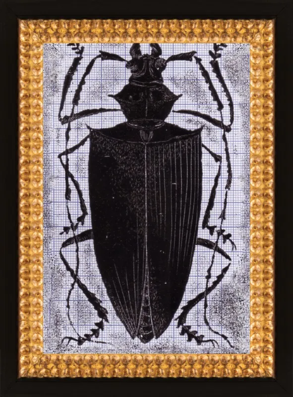 Black Beetle on Grey by Tennopent Sooster for Artfully Walls