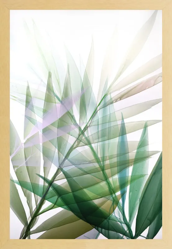 Tropical Study no. 8 by Marina Dunbar  for Artfully Walls