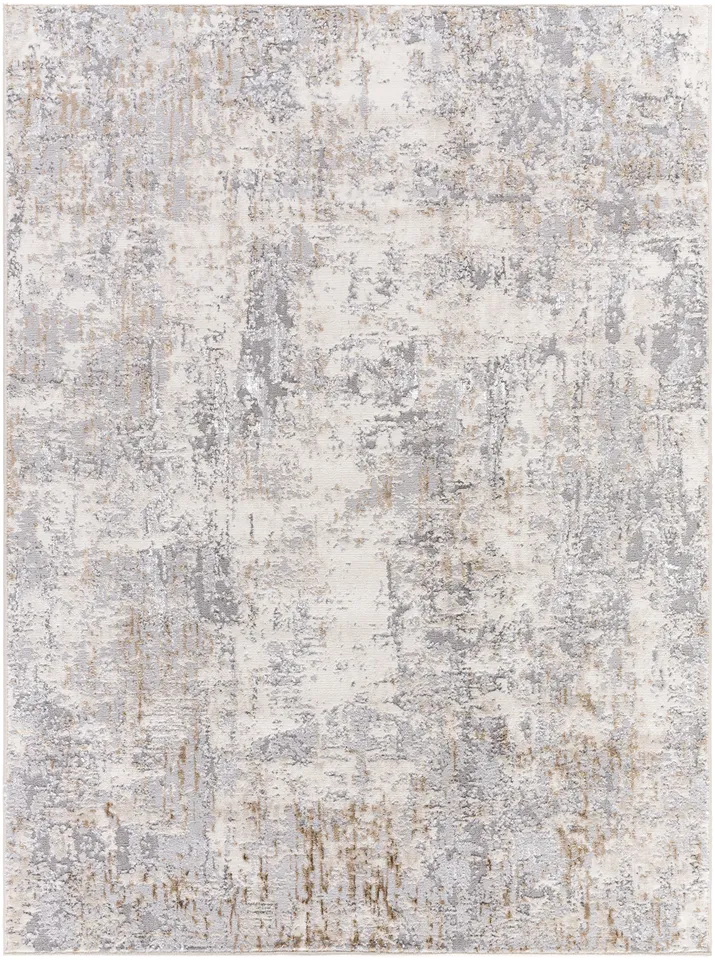 Lustro Gray Indoor 5'3" x 7' Machine Woven Rug
