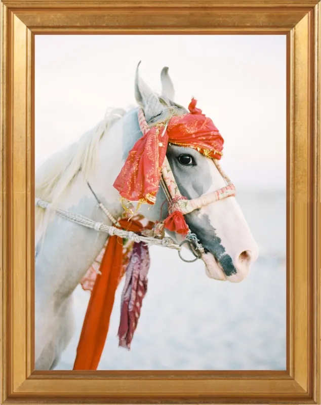 Marwari by Andrew Jacona for Artfully Walls