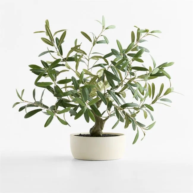 Potted Faux Olive Tree 20"