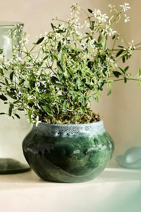 Cresida Terracotta Jar Planter