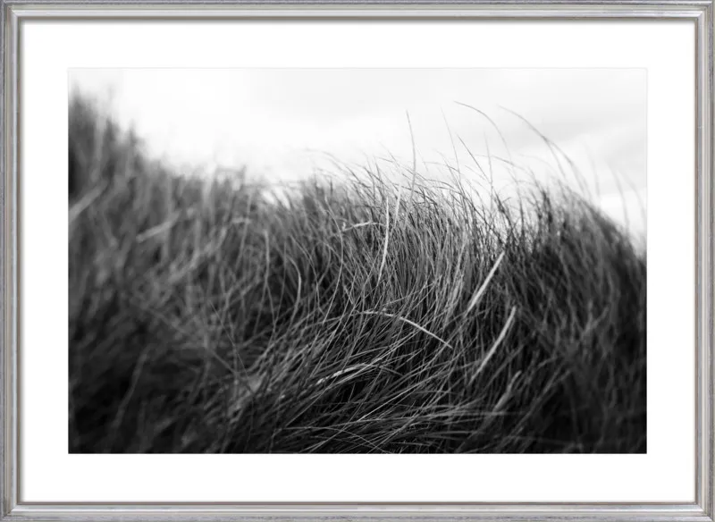 Beach Grass #3 by Alicia Bock for Artfully Walls