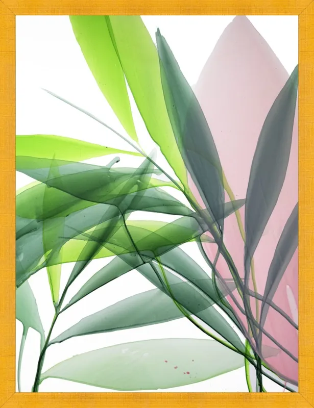 Tropical Study no. 15 by Marina Dunbar  for Artfully Walls