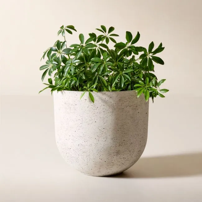 Seminyak Grey Cement Indoor/Outdoor Medium Planter 14.5"H