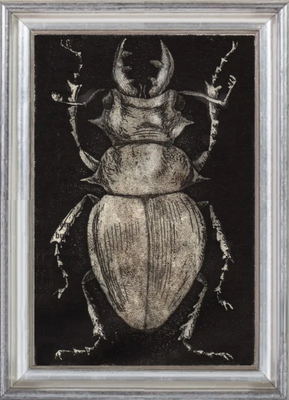 Grey Beetle on Black by Tennopent Sooster for Artfully Walls